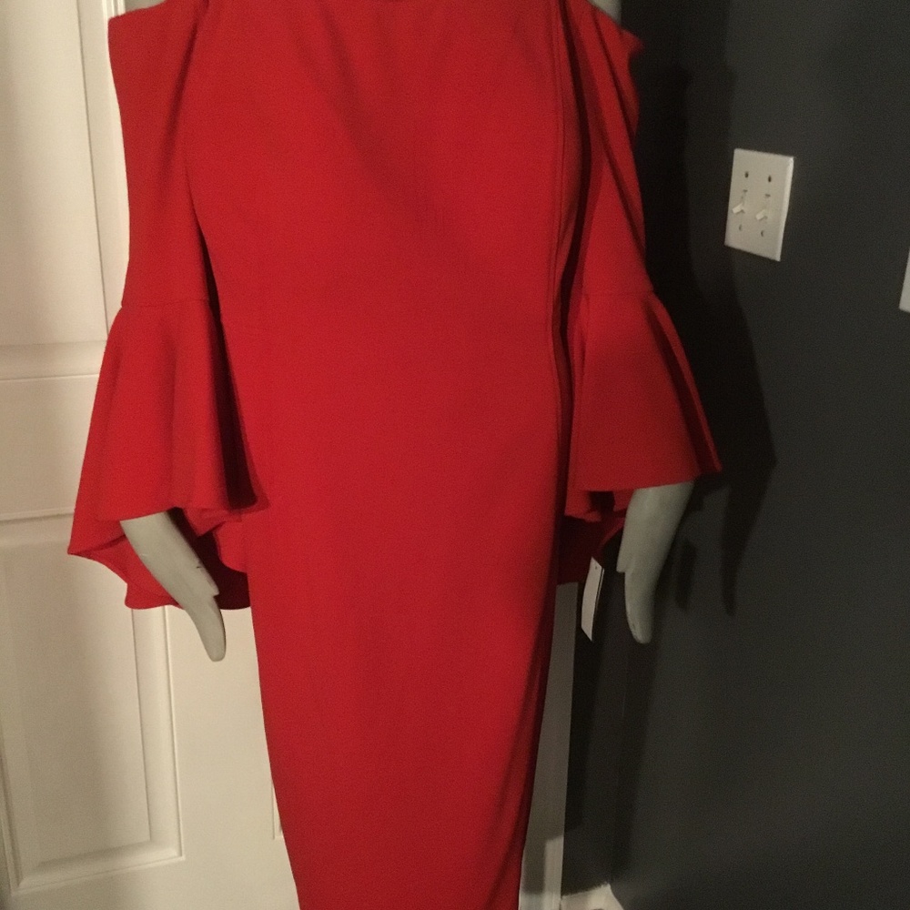 Plus Size Dress - Picture 6 of 8